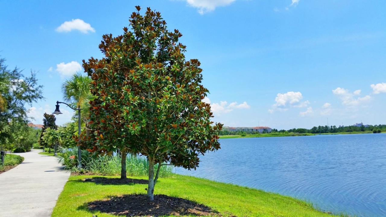 Stunning Top-Floor Condo, Next To Clubhouse Orlando Exterior foto